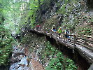 Dr. Vogelgesangklamm