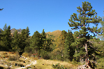 Edelrautehütte_2